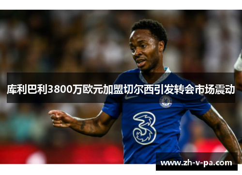 库利巴利3800万欧元加盟切尔西引发转会市场震动 库利巴利3800万欧元加盟切尔西引发转会市场震动