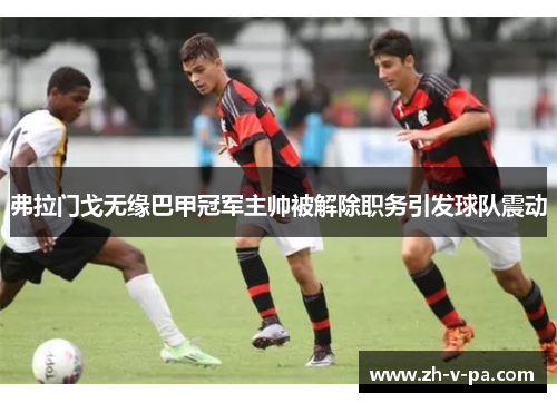 弗拉门戈无缘巴甲冠军主帅被解除职务引发球队震动 弗拉门戈无缘巴甲冠军主帅被解除职务引发球队震动